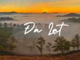 Da Lat Travel