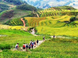 sapa travel